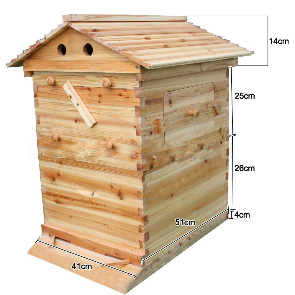 bee hive box