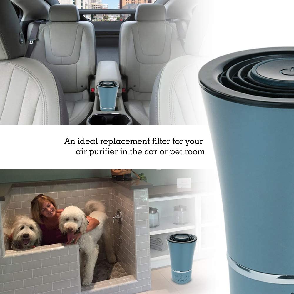 Air Purifier Silent Indoor Anion Mini Air Cleaner Pet Odor Remover Cat Odor  Purifier for Living Room Tabletop Bedroom Car Closet - AliExpress