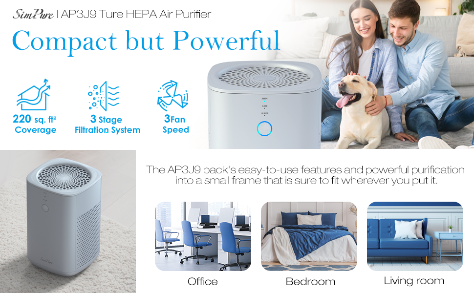 air purifier for mold and allergens