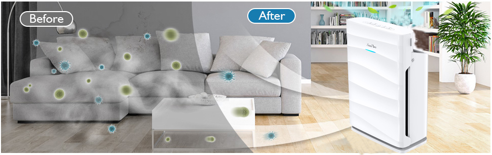 Air Purifier for Pet,Smoker,Odor Large Room Air Cleaner 5-Stage True