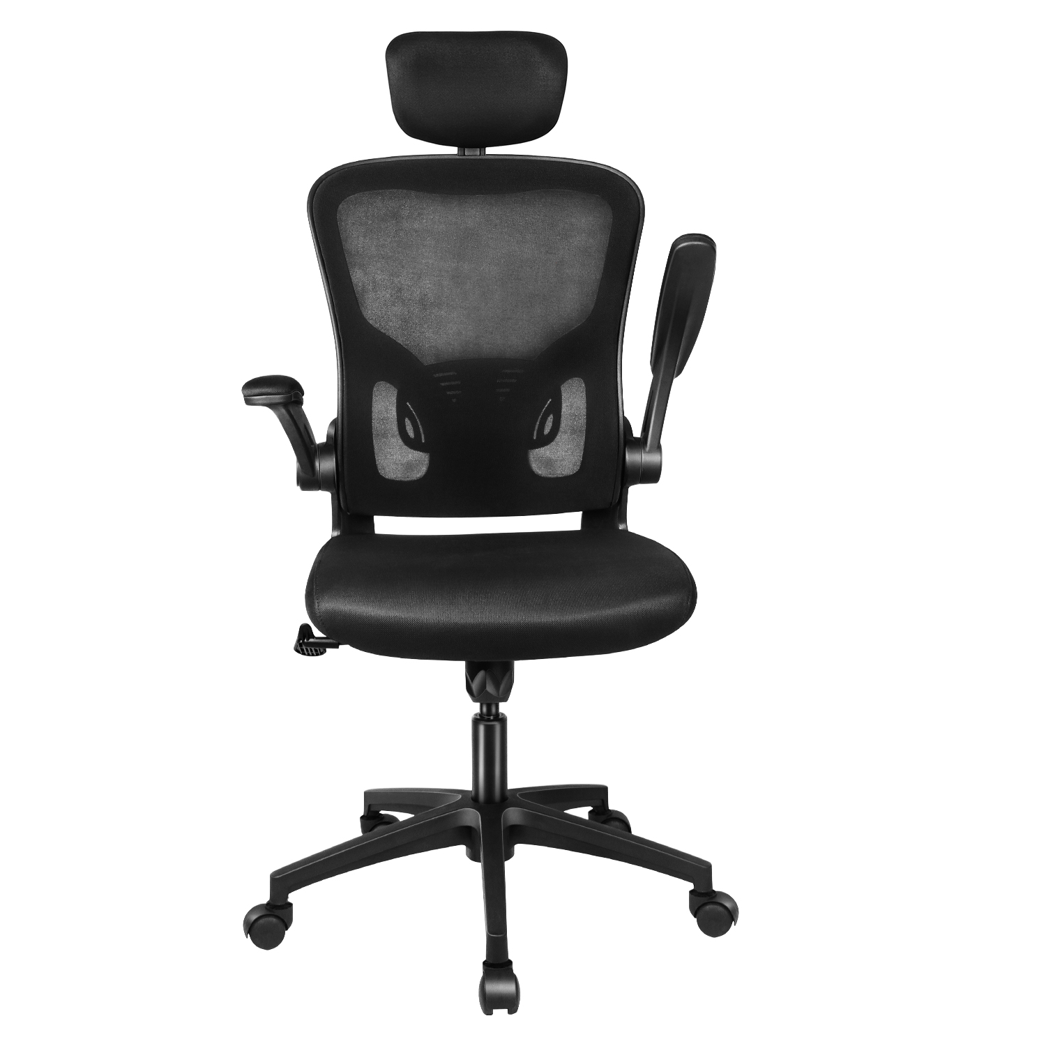Bigzzia Office Chair with Back Support, High Back Ergonomic Computer