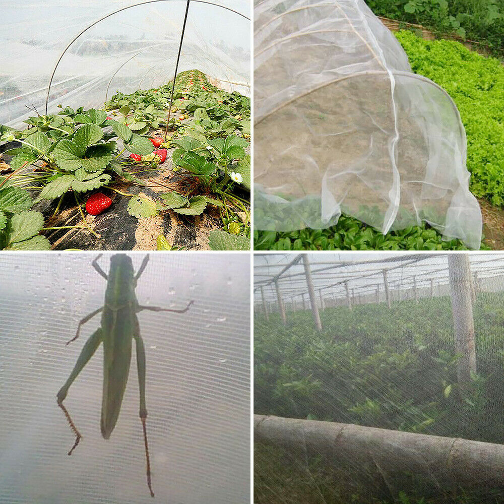 Bird Netting Garden Net Insect Animal Protection Vegetables Plant Crops